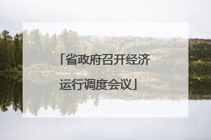 省政府召开经济运行调度会议