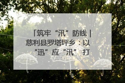 筑牢“汛”防线｜慈利县罗塔坪乡：以“迅”应“汛” 打赢暴雨防御战