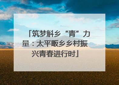 筑梦斛乡“青”力量：太平畈乡乡村振兴青春进行时