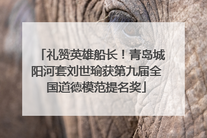 礼赞英雄船长！青岛城阳河套刘世瑜获第九届全国道德模范提名奖