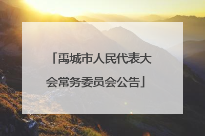 禹城市人民代表大会常务委员会公告