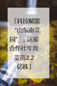 科技赋能“山东南菜园”，这家合作社年育菜苗2.2亿株