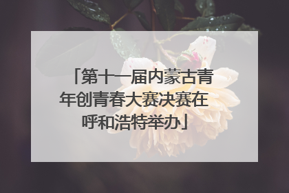第十一届内蒙古青年创青春大赛决赛在呼和浩特举办