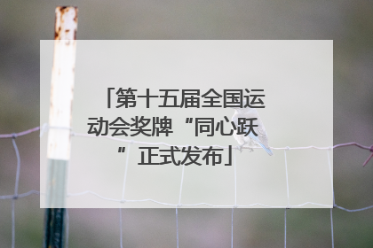 第十五届全国运动会奖牌“同心跃”正式发布