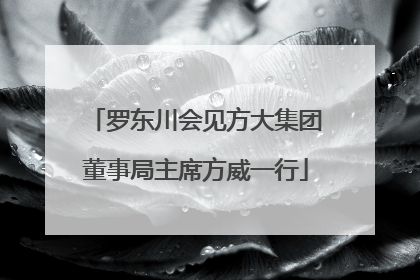 罗东川会见方大集团董事局主席方威一行