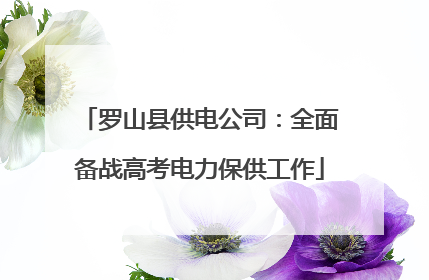 罗山县供电公司：全面备战高考电力保供工作
