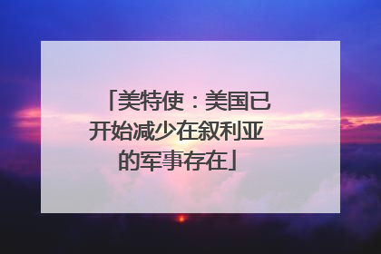美特使：美国已开始减少在叙利亚的军事存在