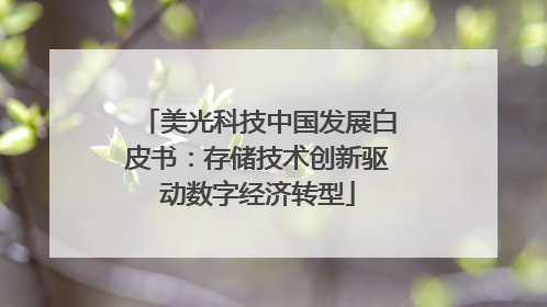 美光科技中国发展白皮书：存储技术创新驱动数字经济转型