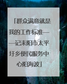 群众满意就是我的工作标准——记耒阳市太平圩乡便民服务中心阳海波