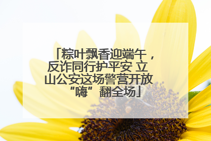 粽叶飘香迎端午，反诈同行护平安 立山公安这场警营开放“嗨”翻全场
