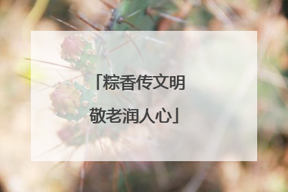 粽香传文明 敬老润人心