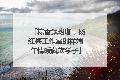 粽香飘珞珈，杨红梅工作室别样端午情暖藏族学子