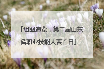 组图速览，第二届山东省职业技能大赛首日