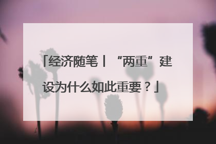 经济随笔丨“两重”建设为什么如此重要？
