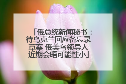 俄总统新闻秘书：待乌克兰回应备忘录草案 俄美乌领导人近期会晤可能性小