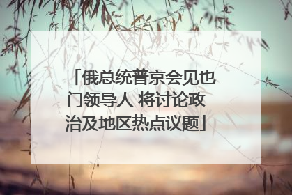 俄总统普京会见也门领导人 将讨论政治及地区热点议题