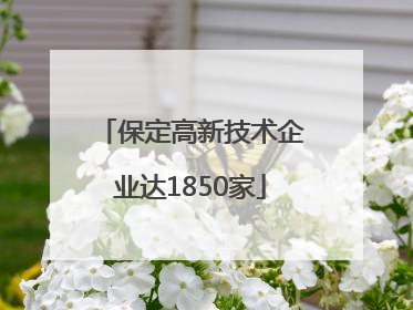 保定高新技术企业达1850家