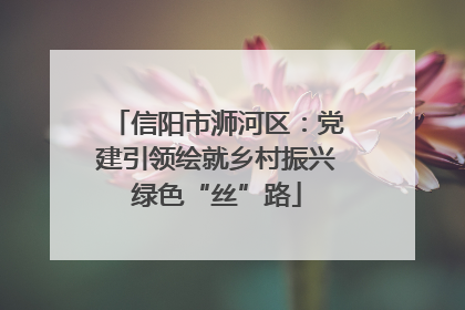 信阳市浉河区：党建引领绘就乡村振兴绿色“丝”路