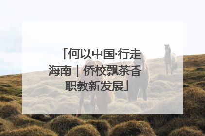 何以中国·行走海南｜侨校飘茶香 职教新发展