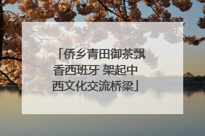 侨乡青田御茶飘香西班牙 架起中西文化交流桥梁