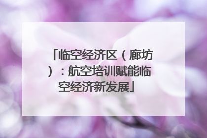 临空经济区（廊坊）：航空培训赋能临空经济新发展