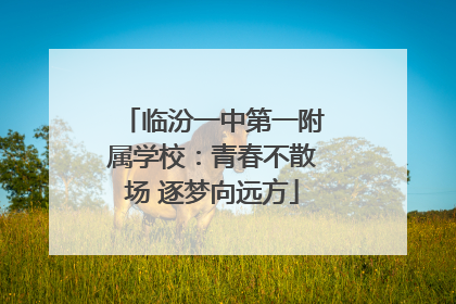 临汾一中第一附属学校：青春不散场 逐梦向远方