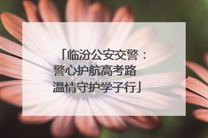 临汾公安交警：警心护航高考路 温情守护学子行