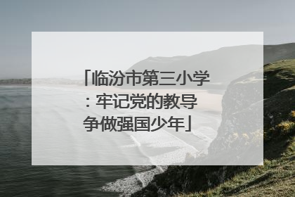 临汾市第三小学：牢记党的教导 争做强国少年