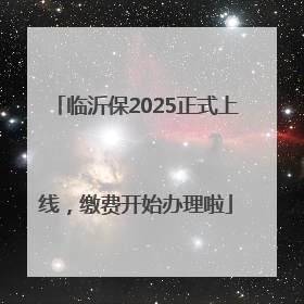 临沂保2025正式上线，缴费开始办理啦