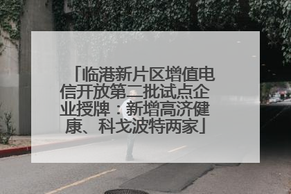 临港新片区增值电信开放第二批试点企业授牌：新增高济健康、科戈波特两家