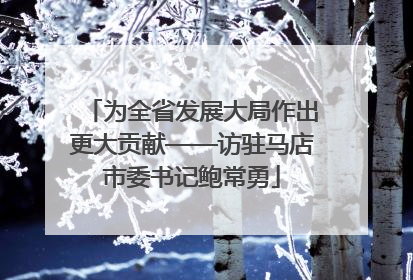 为全省发展大局作出更大贡献——访驻马店市委书记鲍常勇