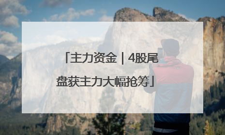 主力资金｜4股尾盘获主力大幅抢筹
