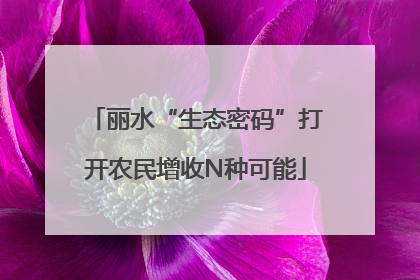 丽水“生态密码”打开农民增收N种可能
