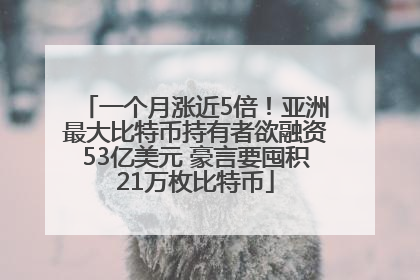 一个月涨近5倍！亚洲最大比特币持有者欲融资53亿美元 豪言要囤积21万枚比特币