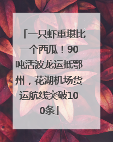 一只虾重堪比一个西瓜！90吨活波龙运抵鄂州，花湖机场货运航线突破100条