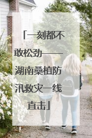 一刻都不敢松劲——湖南桑植防汛救灾一线直击