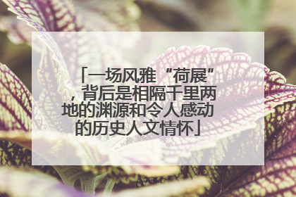 一场风雅“荷展”，背后是相隔千里两地的渊源和令人感动的历史人文情怀