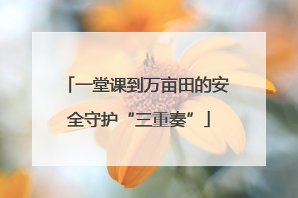 一堂课到万亩田的安全守护“三重奏”