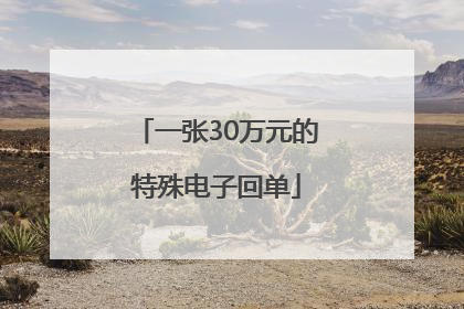 一张30万元的特殊电子回单