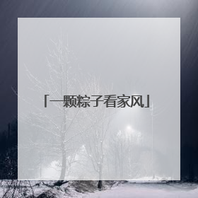 一颗粽子看家风
