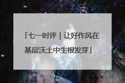 七一时评｜让好作风在基层沃土中生根发芽