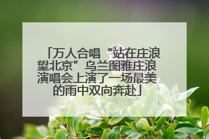 万人合唱“站在庄浪望北京”乌兰图雅庄浪演唱会上演了一场最美的雨中双向奔赴