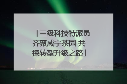 三级科技特派员齐聚咸宁茶园 共探转型升级之路