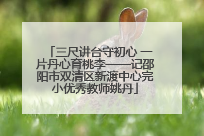 三尺讲台守初心 一片丹心育桃李——记邵阳市双清区新渡中心完小优秀教师姚丹