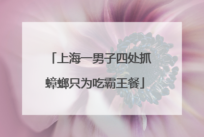 上海一男子四处抓蟑螂只为吃霸王餐