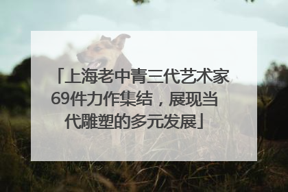 上海老中青三代艺术家69件力作集结，展现当代雕塑的多元发展