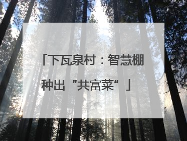 下瓦泉村：智慧棚种出“共富菜”