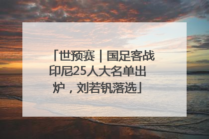 世预赛｜国足客战印尼25人大名单出炉，刘若钒落选