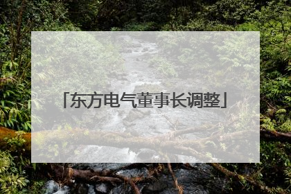 东方电气董事长调整