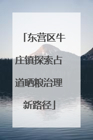 东营区牛庄镇探索占道晒粮治理新路径